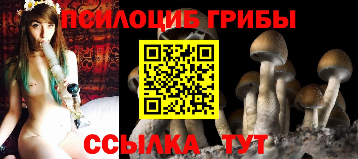 Галлюциногенные грибы Psilocybine cubensis  Вход с VPN  Анапа 
